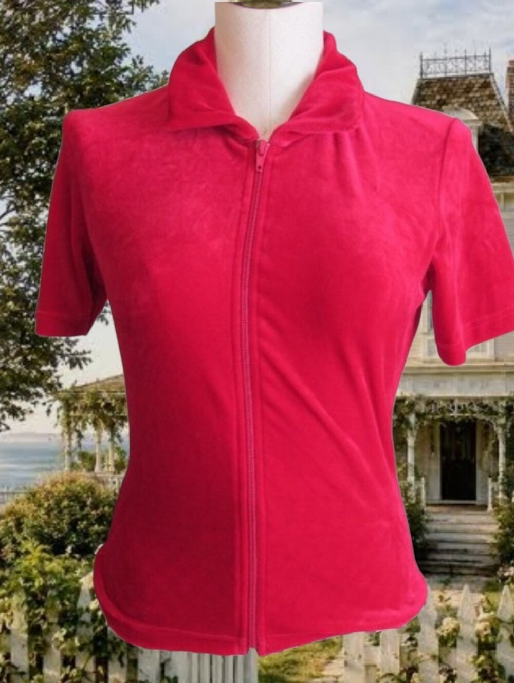 Vintage 90s Red Velvet Top